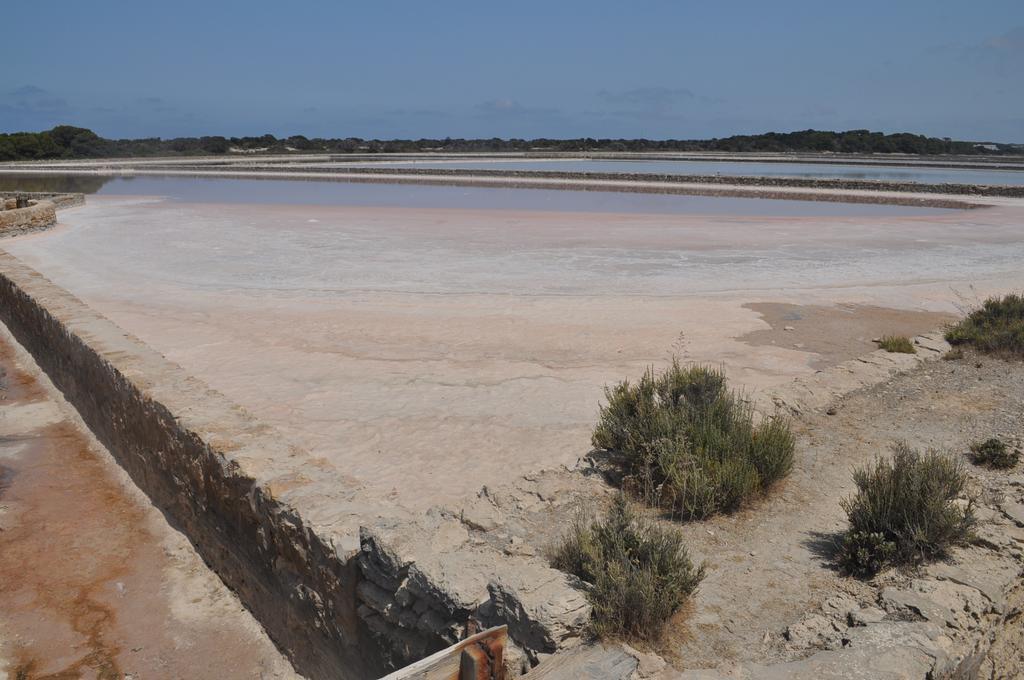 Viviendas Turisticas S'Estanyol 萨宾娜 外观 照片