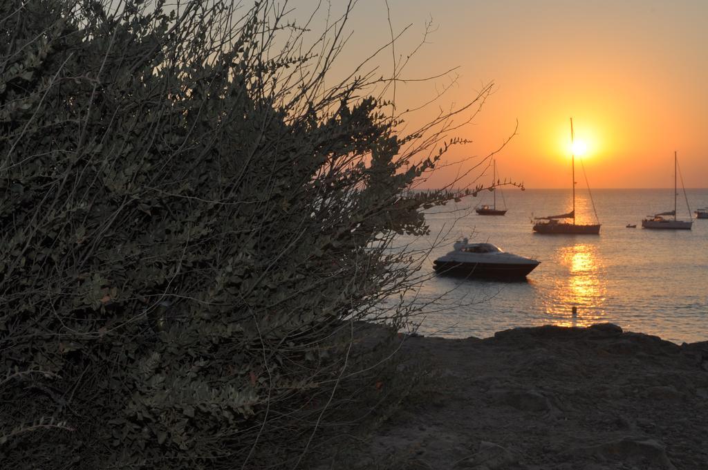 Viviendas Turisticas S'Estanyol 萨宾娜 外观 照片
